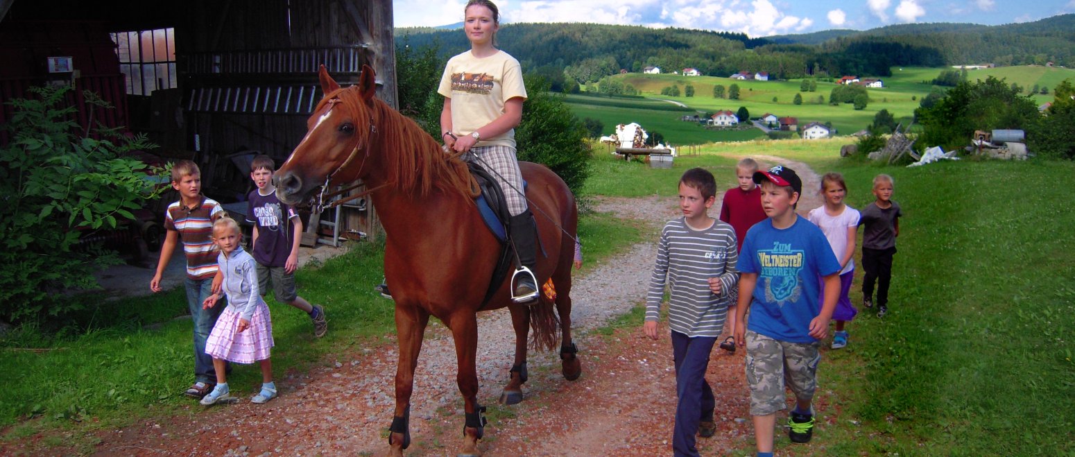 ferienhof-binder-erlebnisurlaub-reiten-niederbayern-reiturlaub