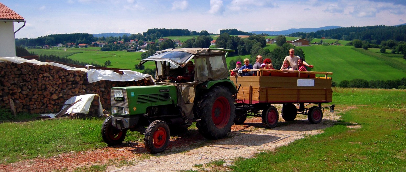 ferienhof-binder-erlebnisurlaub-traktor-fahren-bauernhof