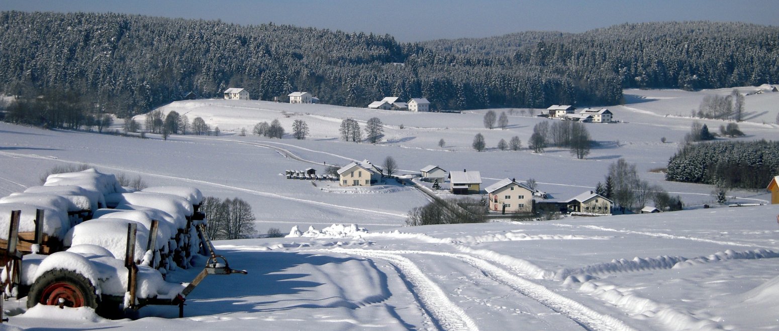 winterurlaub-bayerischer-wald-winterlandschaft-spur